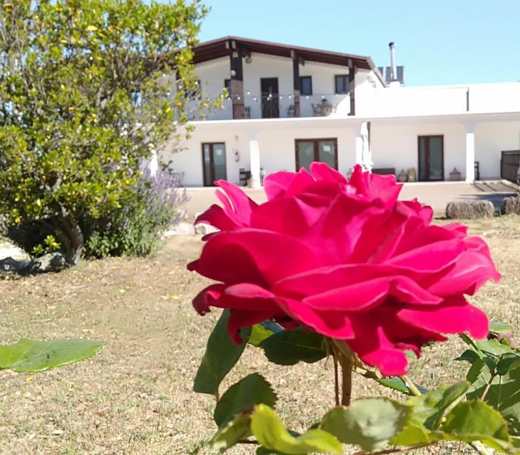 Supramurgia Agribistrot Cassano delle Murge Exteriér fotografie